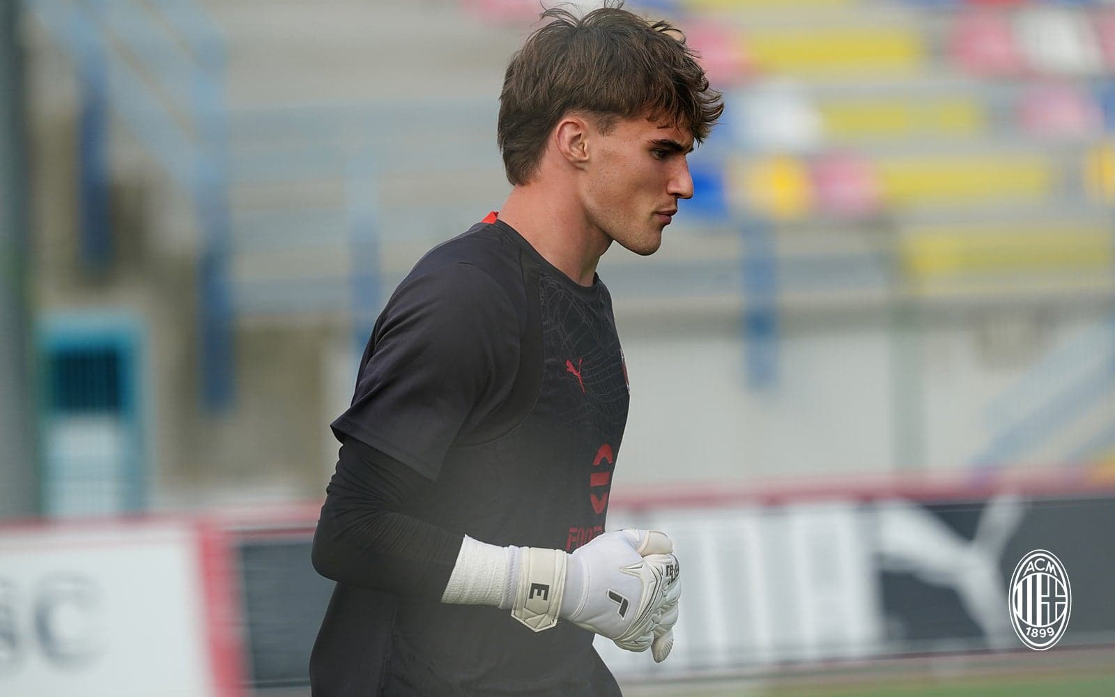 Matteo Pittarella